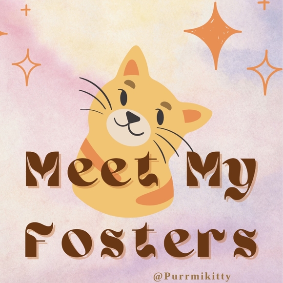 Meet your Posher, Purrmikitty - Picture 8 of 17